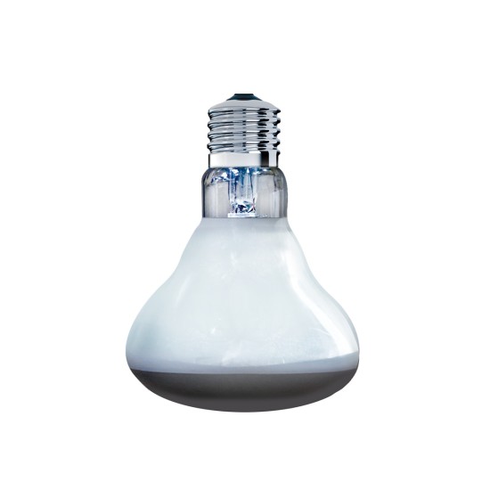 --Arcadia Solar Basking Floodlight 150w