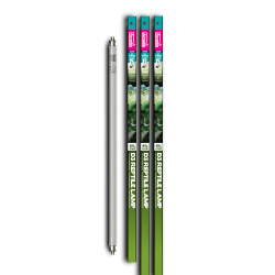 Arcadia 6% Forest D3 lampe reptile T5 24W 550 mm Arcadia 6% Forest D3 lampe reptile T5 24W 550 mm