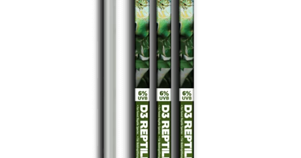Arcadia ShadeDweller Pro T5 UVB Lighting Kit - 7% UVB | Big Al's