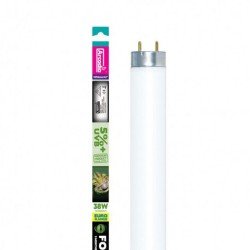 Arcadia 6% Forest D3 lampe pour reptiles T5 54W 1150 mm Arcadia 6% Forest D3 lampe pour reptiles T5 54W 1150 mm