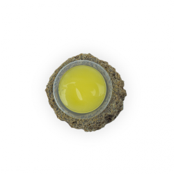 Zurück Zoo Nature Obstschalenhalter Rinde Zurück Zoo Nature Obstschalenhalter Rinde