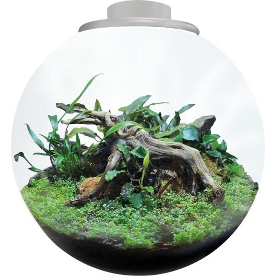 Colombo-A4056005 conf-BIOART Bowl 285 Wit Compleet