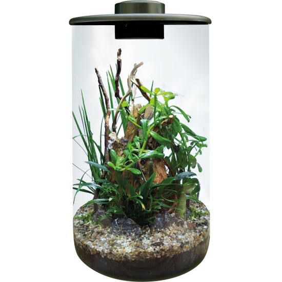 Colombo-A4056010 conf-BIOART Cylinder 285 Zwart Compleet