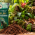 Welcher Bodengrund ist der beste für ein bioaktives Terrarium?