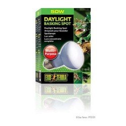 Exo Terra Daylight Basking Spot lampe 50W Exo Terra Daylight Basking Spot lampe 50W