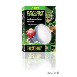 Exo Terra Daylight Basking Spot lampe 75W Exo Terra Daylight Basking Spot lampe 75W