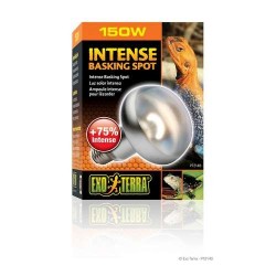 Exo Terra Intense Basking Spot 150W