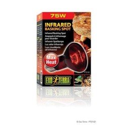 Exo Terra Heat Glo Infrared Heat Lamp 75W