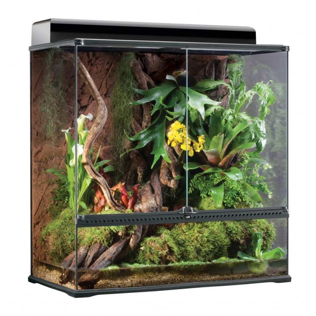 thumbnail image 2 of Decoración Acuarío Exo Terra Forest Branch Gde. 60 Cm 2 of 13
