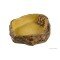 Exo Terra Water Dish X-Large