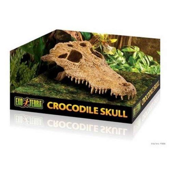 Exo Terra-PT2856-Exo Terra Crocodile Skull