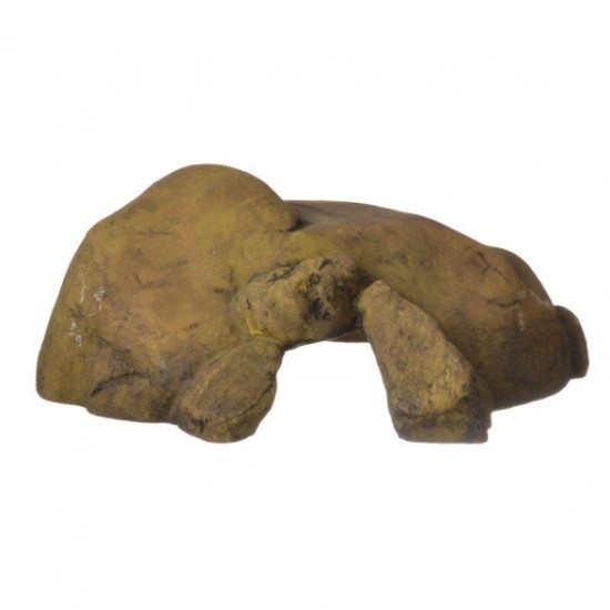 Exo Terra Reptil itil Höhle XL 2017 PT2933