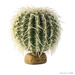 Cactus baril Exo Terra grand Cactus baril Exo Terra grand