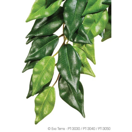 -PT3030-Exo Terra Ficus Small Silk