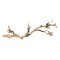 Exo Terra Forest Branch Large 60cm