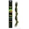 Exo Terra Moss Bendable Vine 6ft Small
