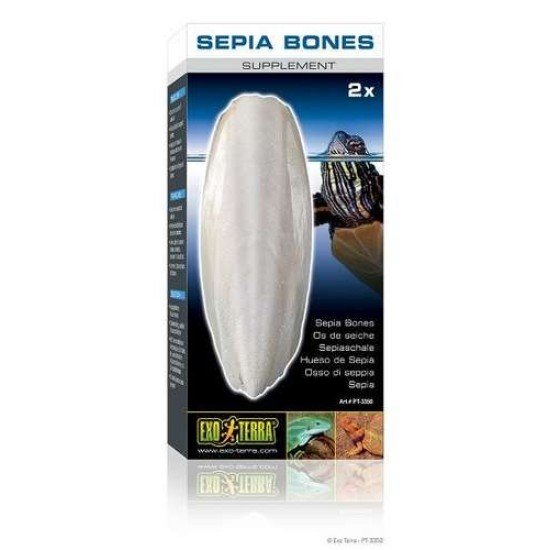 Exo Terra-PT3550-Exo Terra Sepia Bones