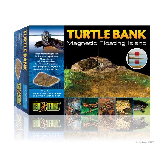-PT3800-Exo Terra Turtle Bank Small