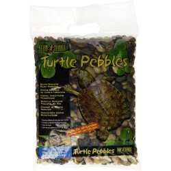 Exo Terra tortue cailloux naturel petite rivière cailloux Exo Terra tortue cailloux naturel petite rivière cailloux