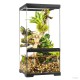 Exo Terra-PT4402-Exo Terra Pro Paludarium X-Klein X-Hoch 30x30x60cm