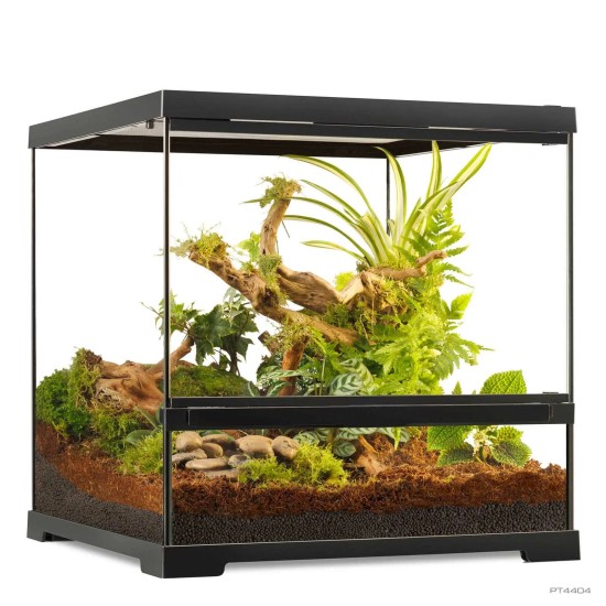 Exo Terra-PT4404-Exo Terra Pro Terrarium X-Small Wide 45 x 45 x 45cm