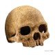 Exo Terra-PT2855-Exo Terra Primate Skull