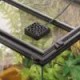 Exo Terra-PT3713-Exo Terra Silent Terrarium Mini Fan