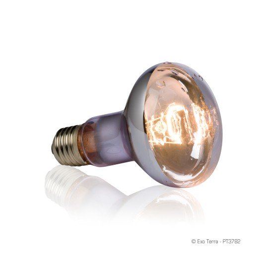 Exo Terra Swamp Basking Spot 100W