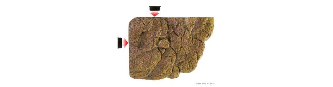 Schildpadden Planten & Decoratie Schildpadden Planten & Decoratie