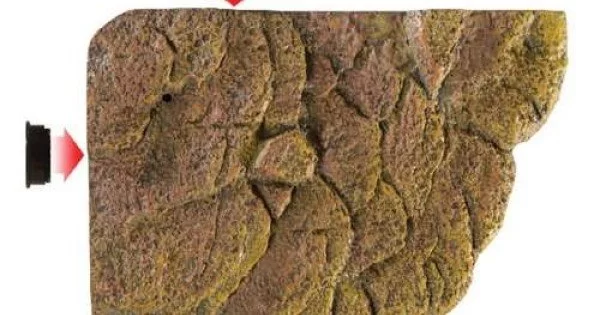 Koestergebied voor schildpaddentank | Habitatdecoratie - Zuignappen Koestergebied voor schildpaddentank | Habitatdecoratie - Zuignappen