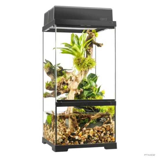 Exo Terra-PT4402-Exo Terra Pro Paludarium X-Klein X-Hoch 30x30x60cm