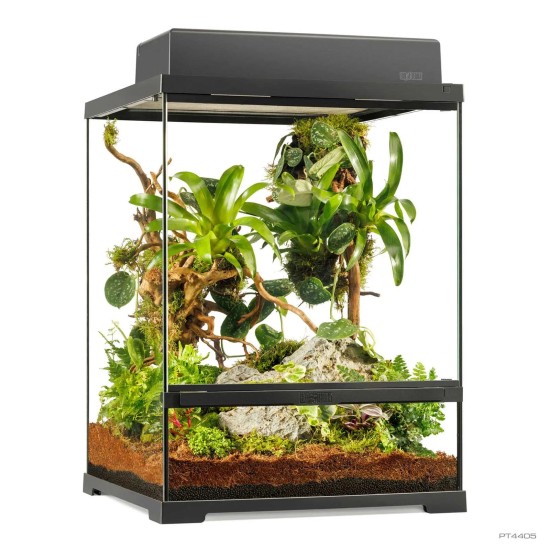 Exo Terra-PT4405-Exo Terra Pro Terrarium Klein Groß 45x45x60cm Exo Terra-PT4405-Exo Terra Pro Terrarium Klein Groß 45x45x60cm