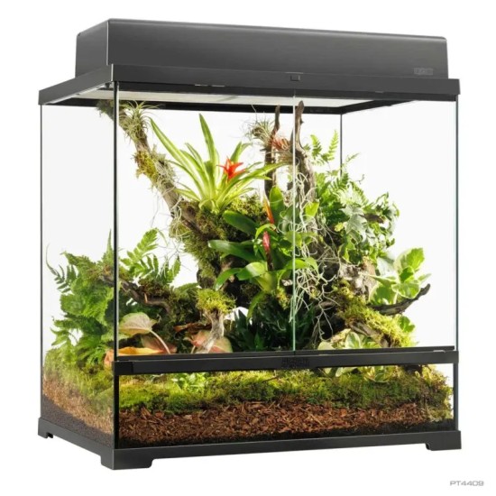 Exo Terra-PT4409-Exo Terra Pro Terrarium Medium Tall 60x45x60cm