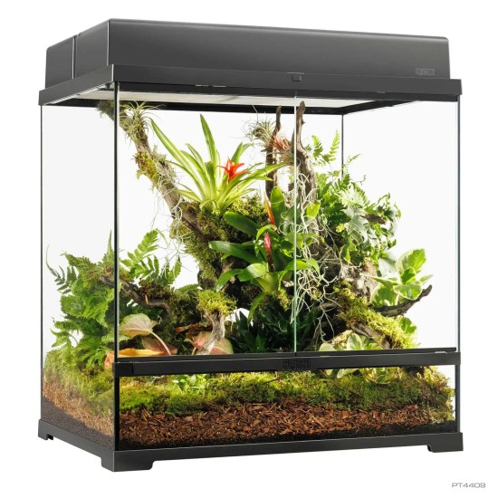 Exo Terra-PT4409-Exo Terra Pro Terrarium Medium Tall 60x45x60cm