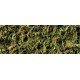 -PT3095-Exo Terra Forest moss 2 pack
