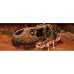 Crâne de T-Rex Exo Terra Crâne de T-Rex Exo Terra