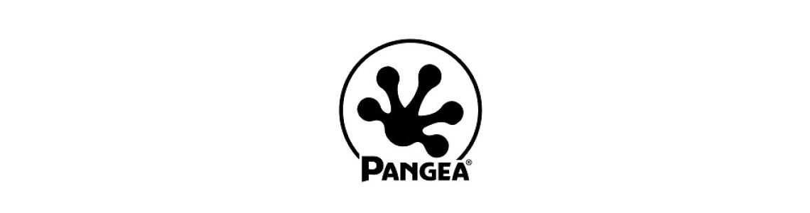 Pangea Reptile