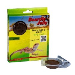 Lucky Reptile Beardie Jelly Juvenile Lucky Reptile Beardie Jelly Juvenile