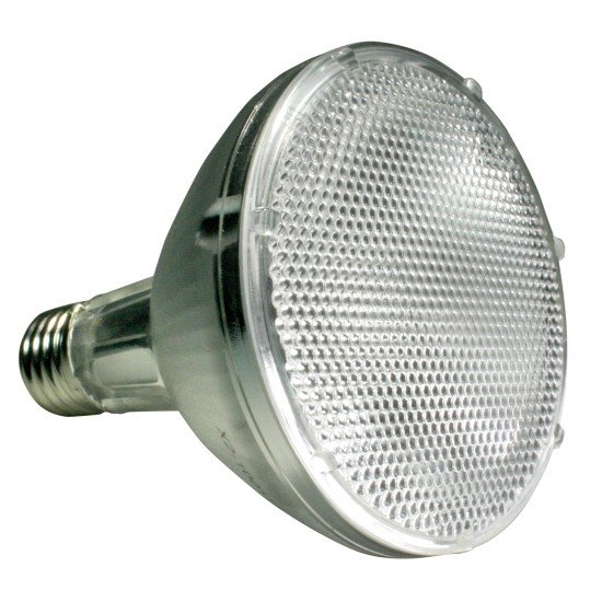 Lucky Reptile-LR63601-Lucky Reptile Bright Sun UV DESERT 50W