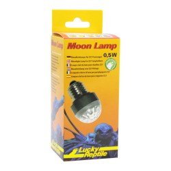 Lucky Reptile Led Moon Lamp
