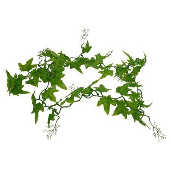 Lucky Reptile-64572-Lierre Chanceux Reptile Lucky Reptile-64572-Lierre Chanceux Reptile