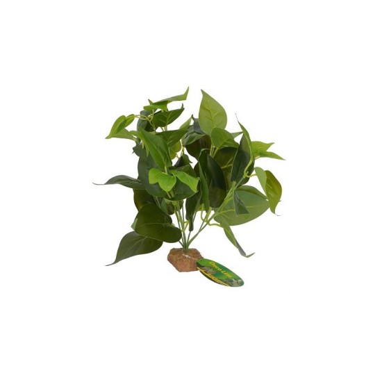 Lucky Reptile Scindaspus Green