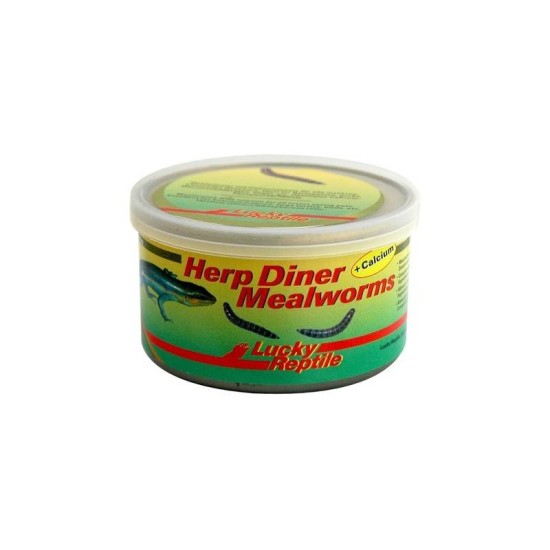 Lucky Reptile Herp Diner - Mealworms 35g