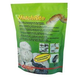 Lucky Reptile HatchRite 2 l