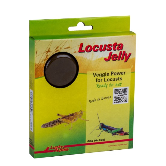 Lucky Reptile-LR67473-Lucky Reptile Locusta Jelly