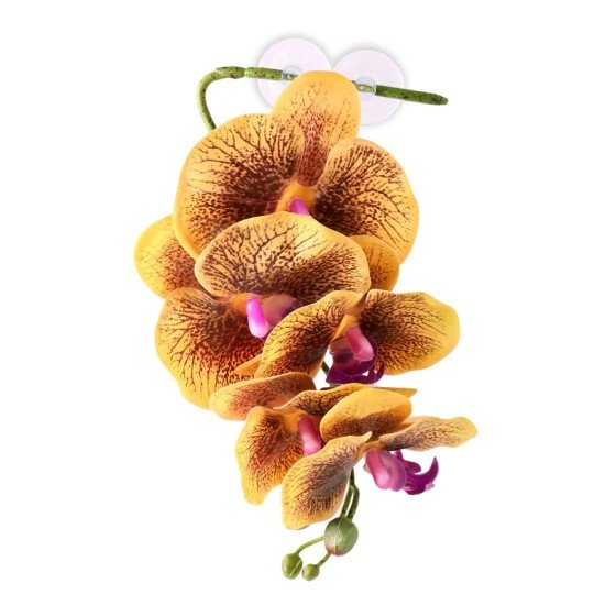 Pangea Reptile-WHO-OY-Pangea Reptile Hanging Orchids Yellow