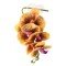 Pangea Reptile Hanging Orchids Yellow