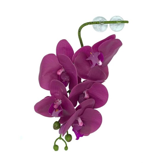 Pangea Reptile Hanging Orchids White