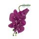 Pangea Reptile Hanging Orchids White