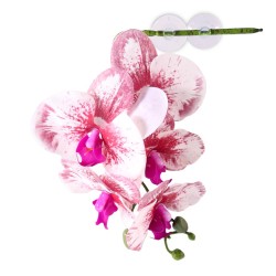 Pangea Reptile Hanging Orchids White